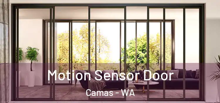 Motion Sensor Door Camas - WA